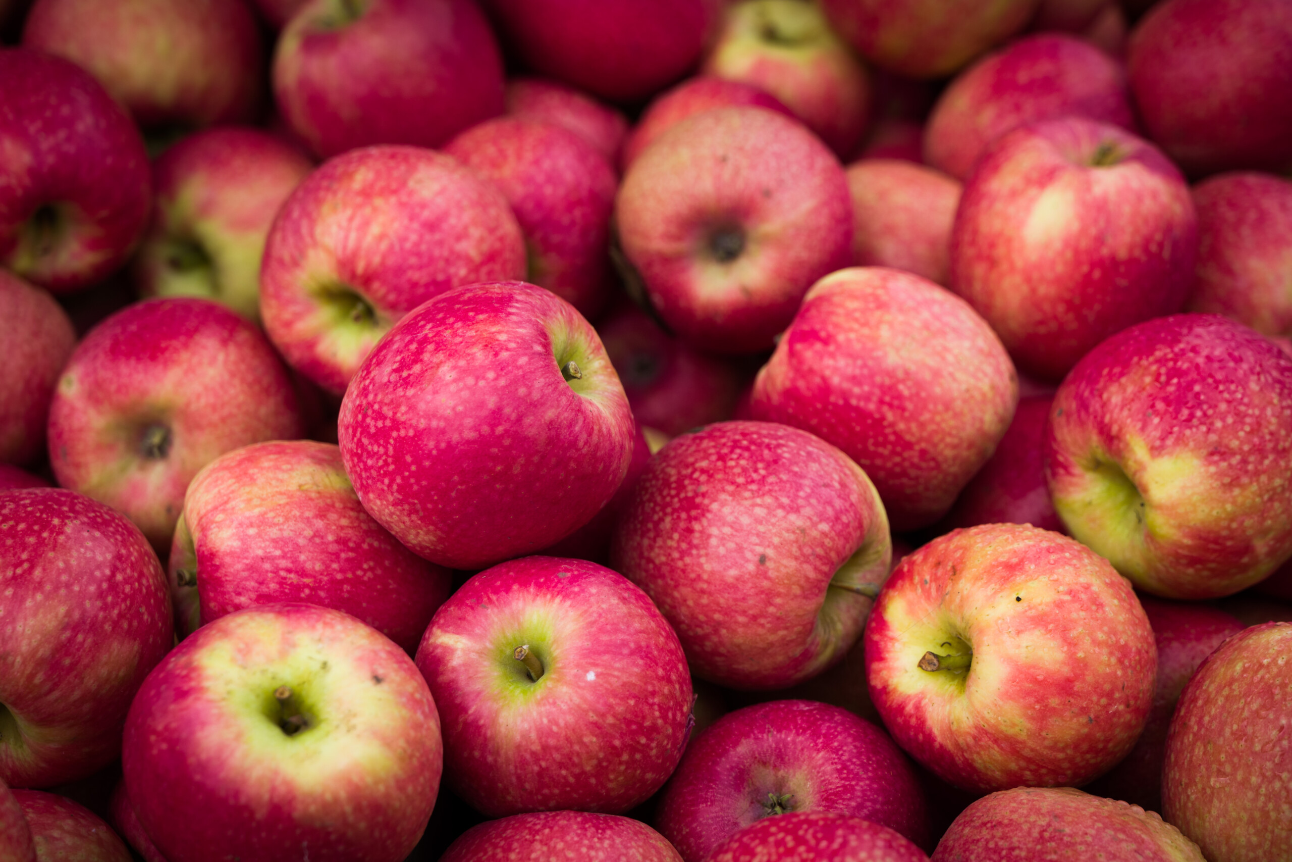 Your source for NFC apple juice, concentrated apple juice, apple puree, apple puree concentrate and apple IQF.