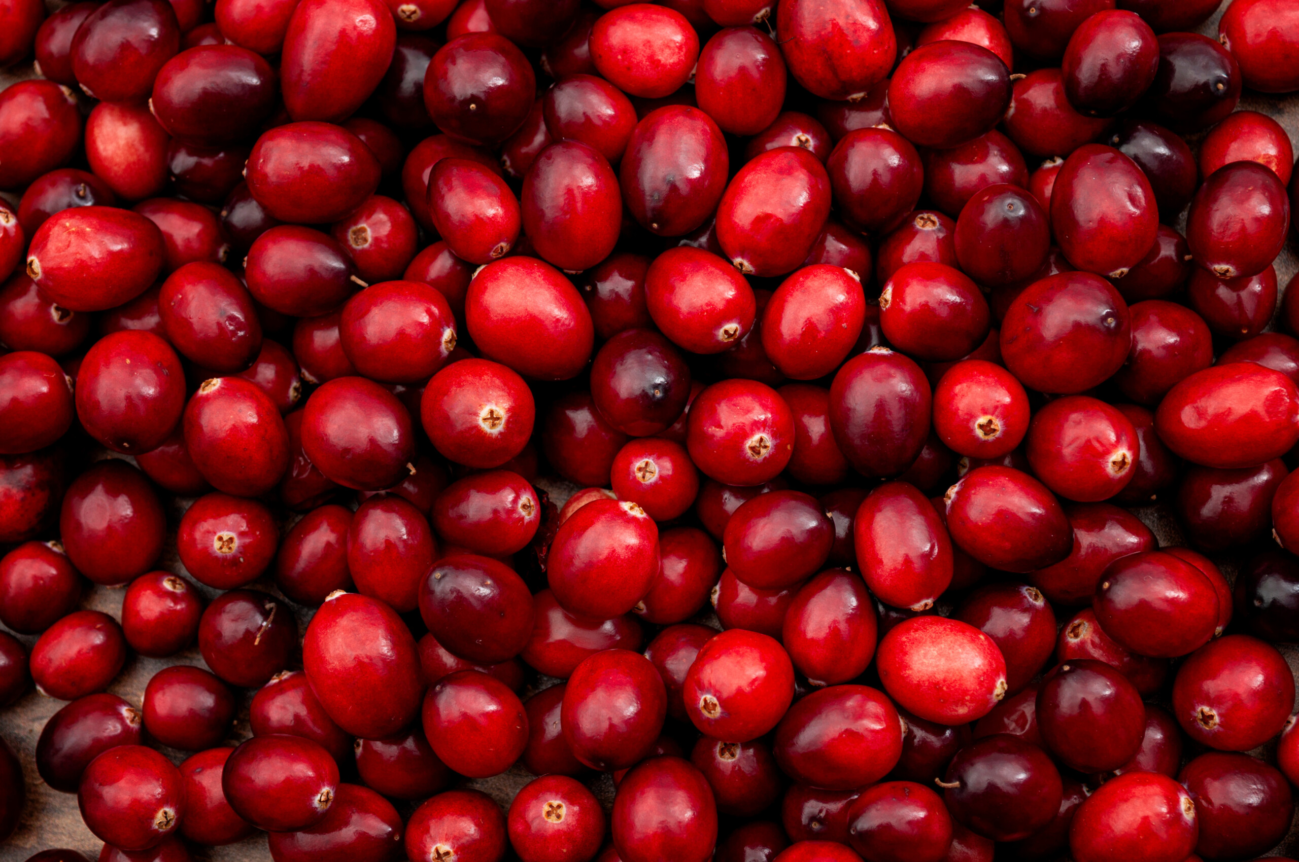 Your source for NFC cranberry juice, concentrated cranberry juice, cranberry puree and cranberry IQF.