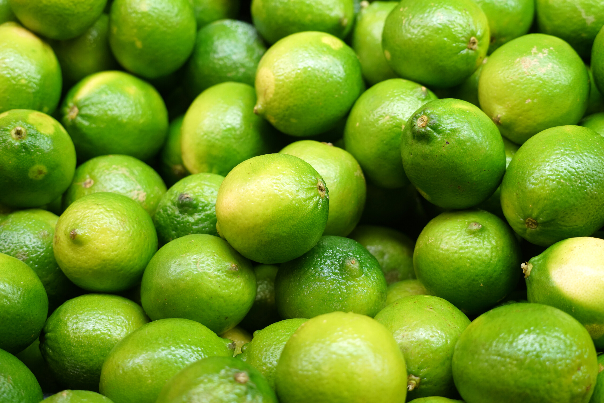 Your source for NFC lime juice, concentrated lime juice, lime IQF and lime oil.